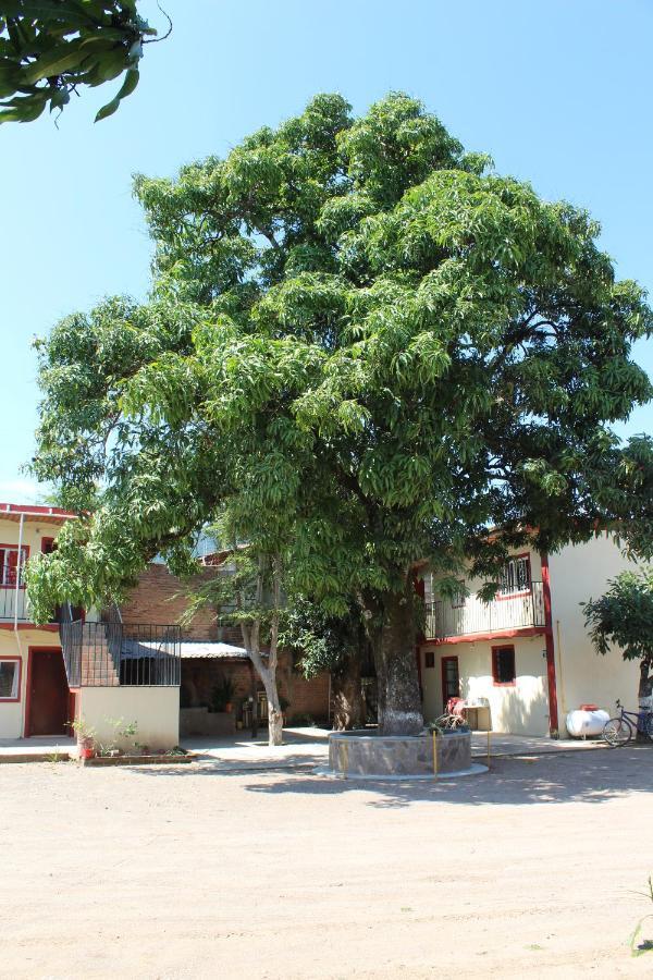 Meson La Huerta Mascota Exterior foto